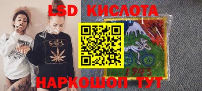 эйфоретик Гатчина