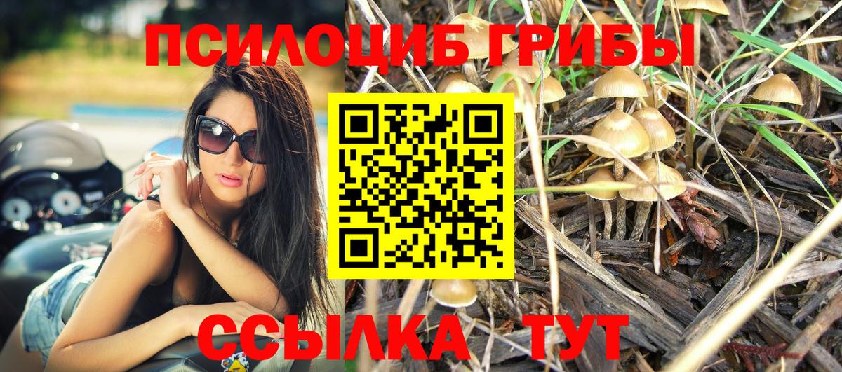 Псилоцибиновые грибы мухоморы Кизляр
