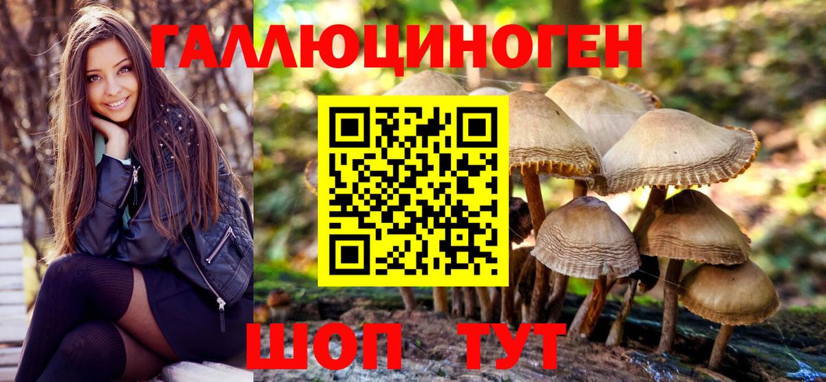 Псилоцибиновые грибы GOLDEN TEACHER  Галлюциногенные грибы мицелий  Кизляр  Вход с VPN 
